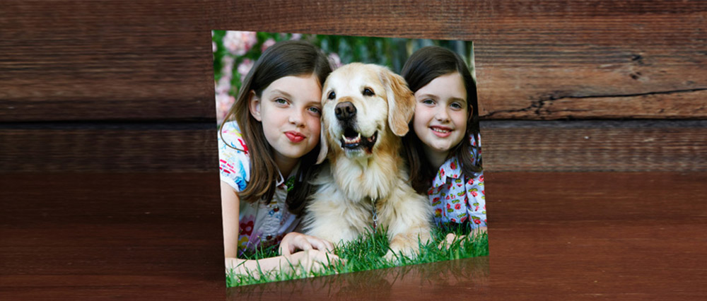 print of metal of girls hugging a dog